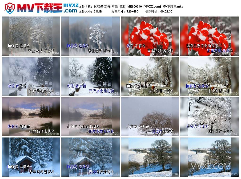 区瑞强-寒梅_粤语_流行_ME900340